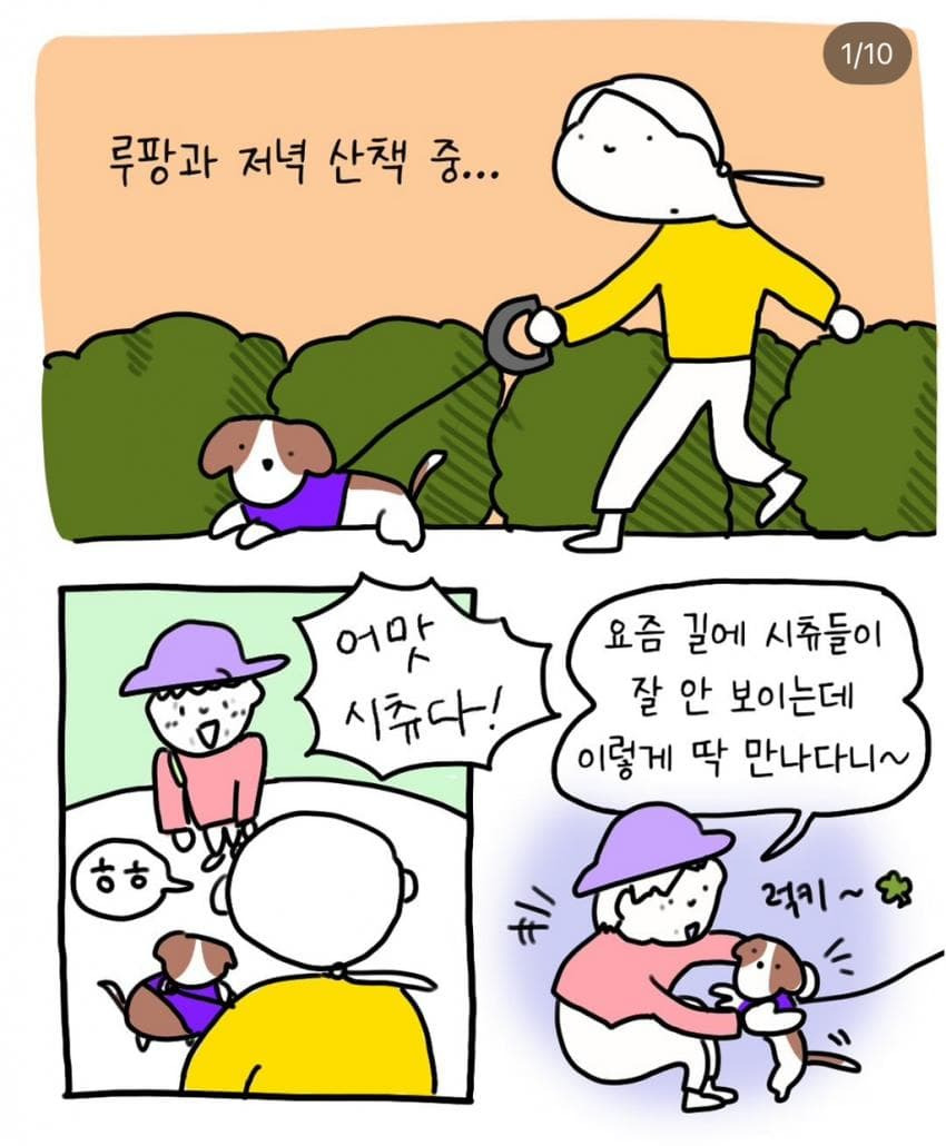 반려견과 산책 중에 만난 한 아주머니 | 인스티즈