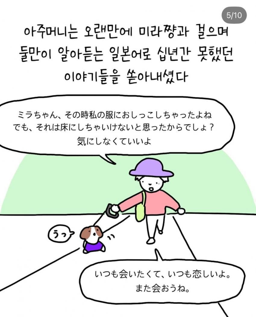 반려견과 산책 중에 만난 한 아주머니 | 인스티즈