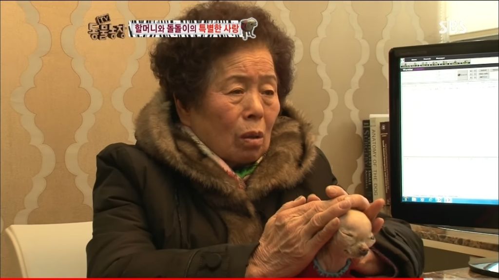 강아지가 안좋은말 들을까봐 귀 막아주는 할머니 | 인스티즈