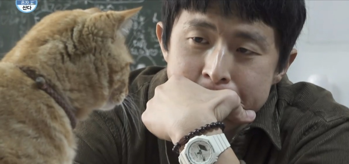 처음보는 기안 옆에서 세상 얌전한 바이크가게 고양이 | 인스티즈