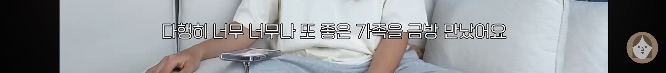 품종견을 샀던 유튜버가 유기견을 입양하게 된 과정 | 인스티즈