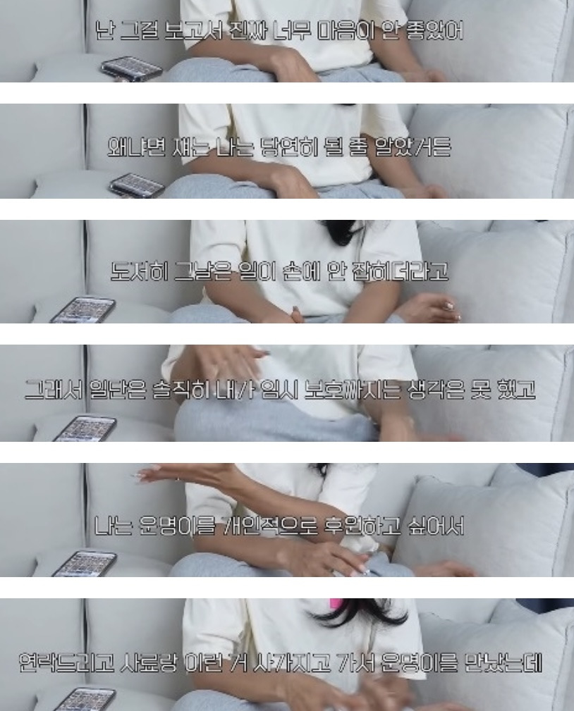 품종견을 샀던 유튜버가 유기견을 입양하게 된 과정 | 인스티즈