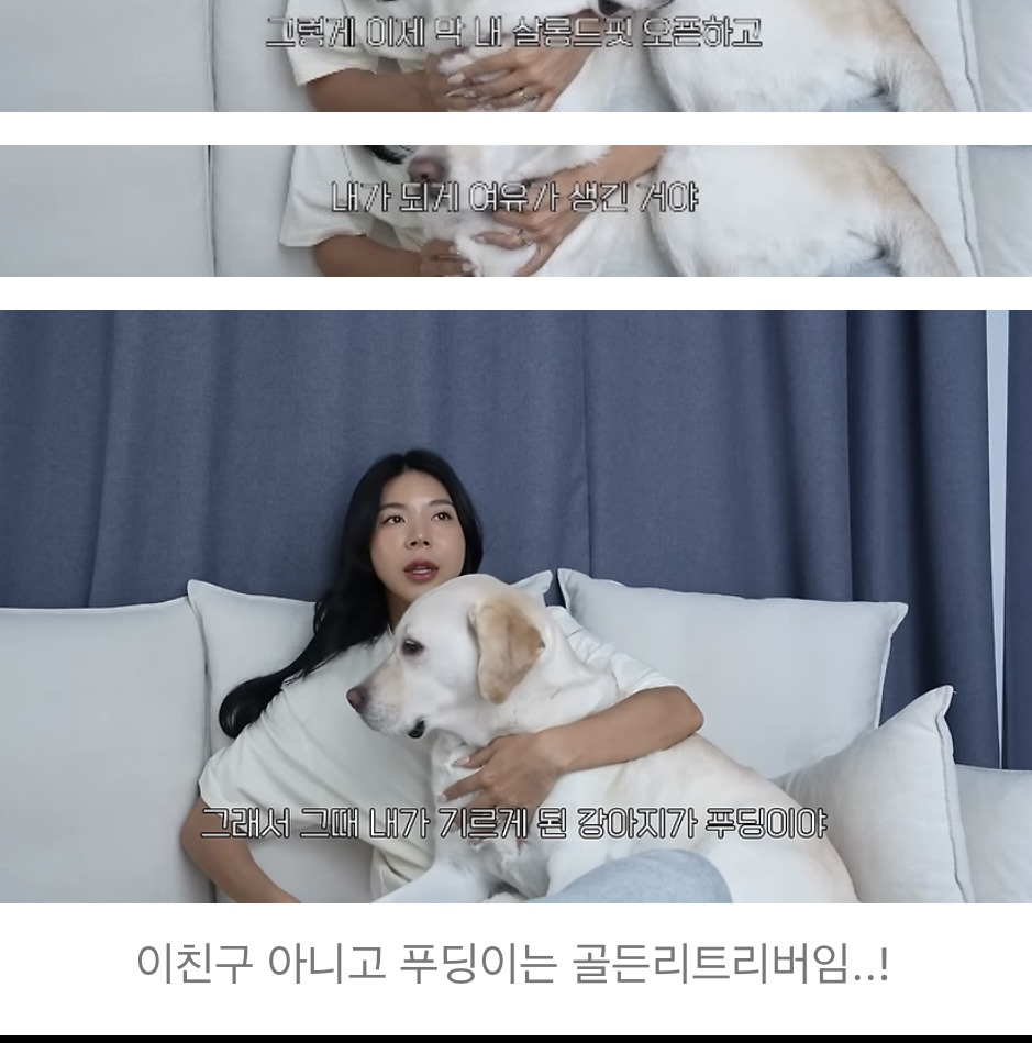 품종견을 샀던 유튜버가 유기견을 입양하게 된 과정 | 인스티즈