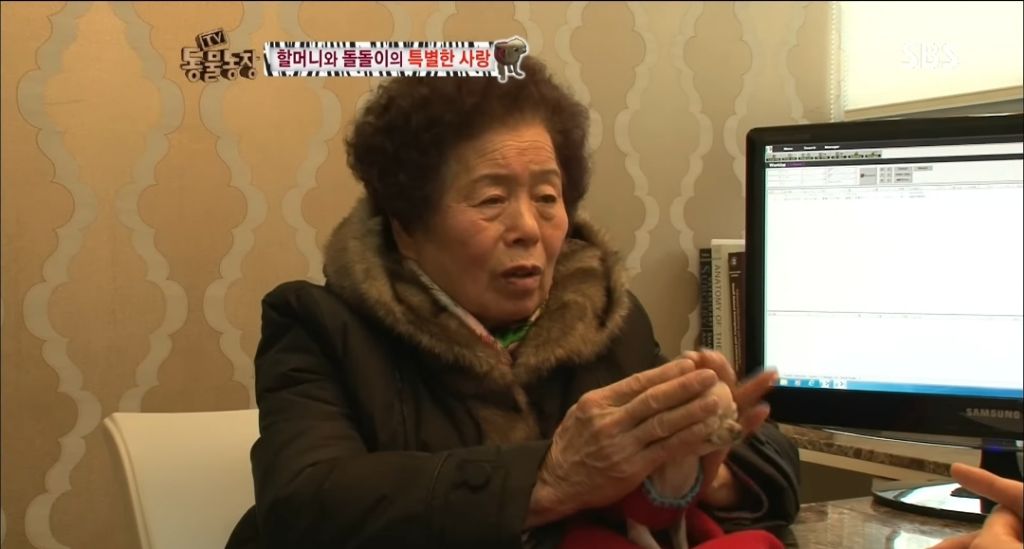 강아지가 안좋은말 들을까봐 귀 막아주는 할머니 | 인스티즈