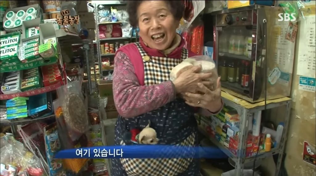 강아지가 안좋은말 들을까봐 귀 막아주는 할머니 | 인스티즈