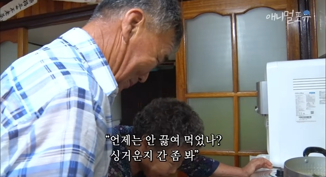 치매 걸린 아내가 4년만에 끓여준 미역국 | 인스티즈