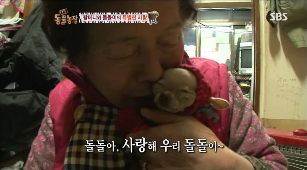 강아지가 안좋은말 들을까봐 귀 막아주는 할머니 | 인스티즈