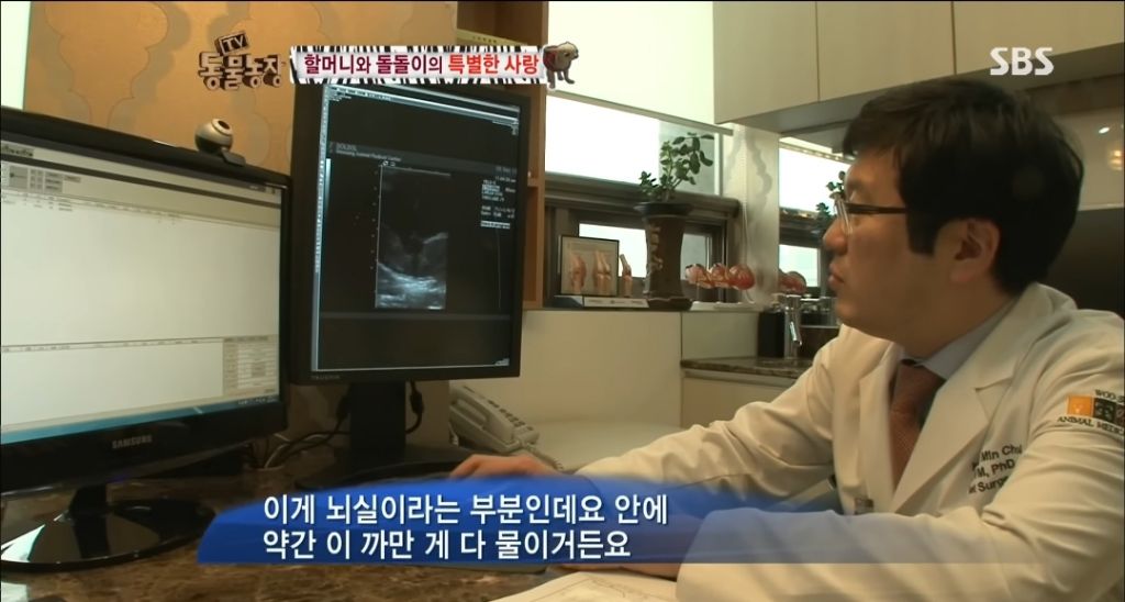 강아지가 안좋은말 들을까봐 귀 막아주는 할머니 | 인스티즈