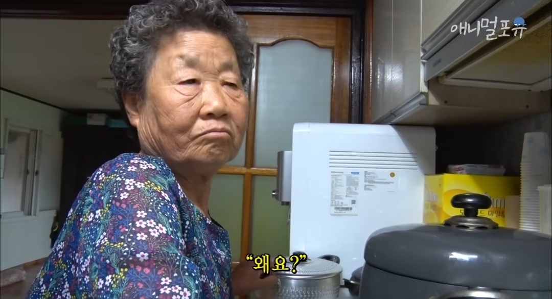 치매 걸린 아내가 4년만에 끓여준 미역국 | 인스티즈