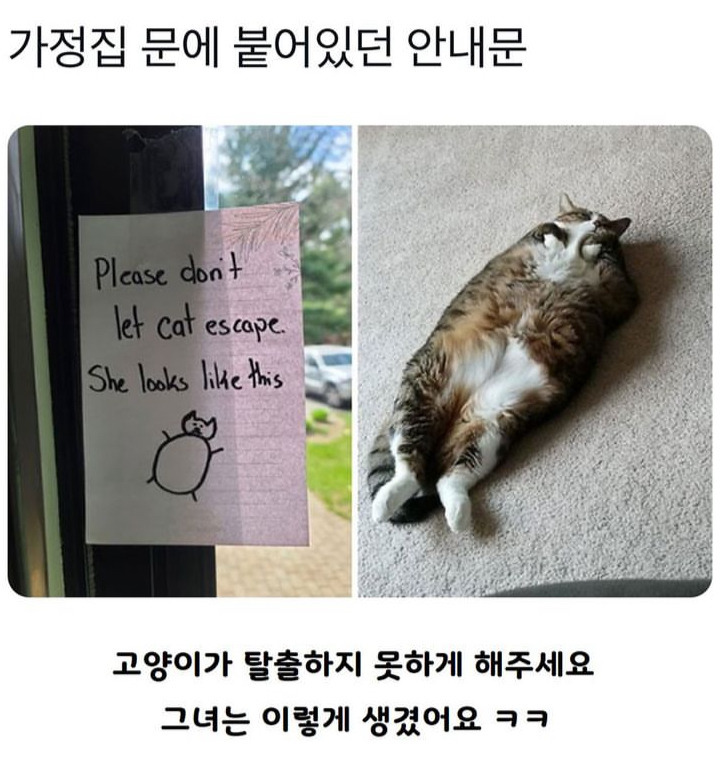  가정집 문에 붙어있던 안내문