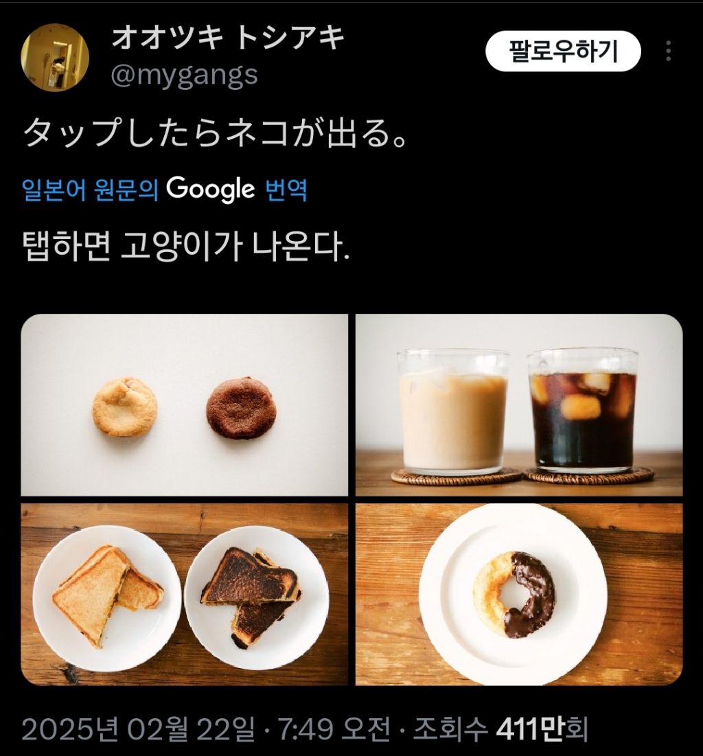 오묘한 색깔 대비의 음식과 고양이 | 인스티즈