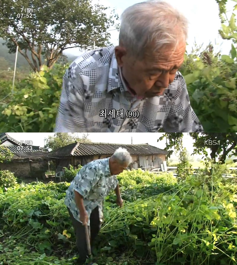  인간극장 레전드 사랑꾼 할아버지.jpg