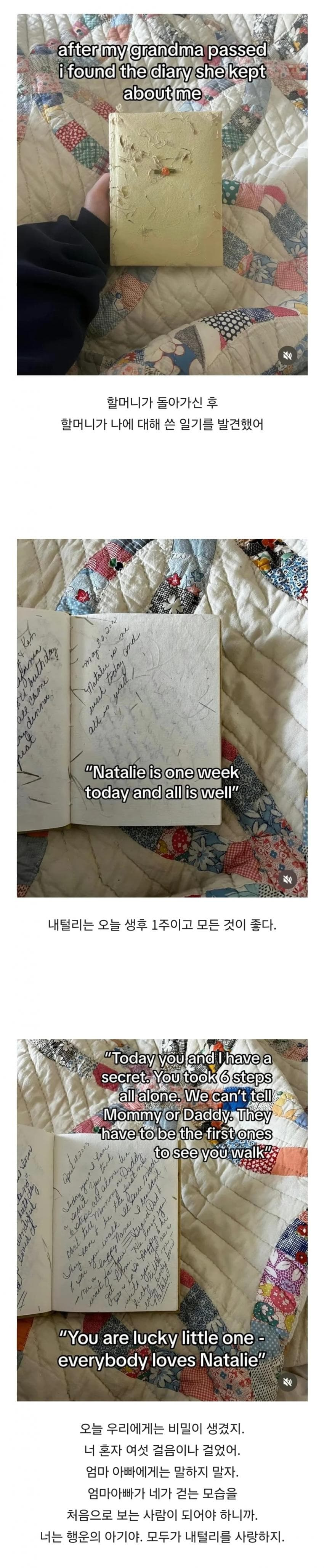  할머니 돌아가시고 할머니가 나에 대해 쓴 일기를 발견했어