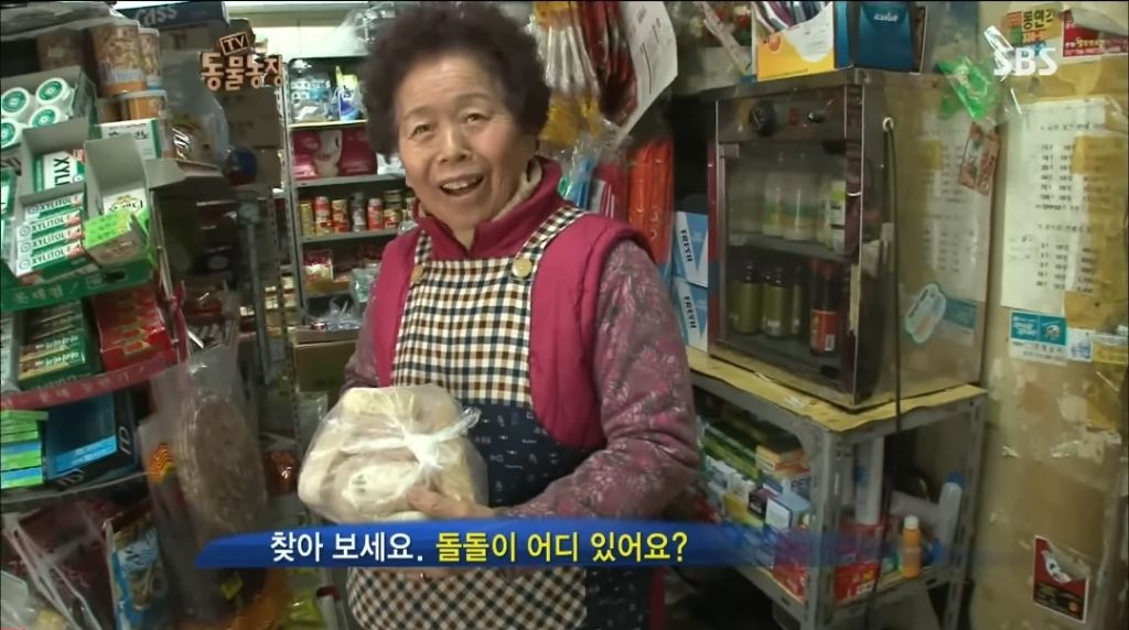 강아지가 안좋은말 들을까봐 귀 막아주는 할머니 | 인스티즈