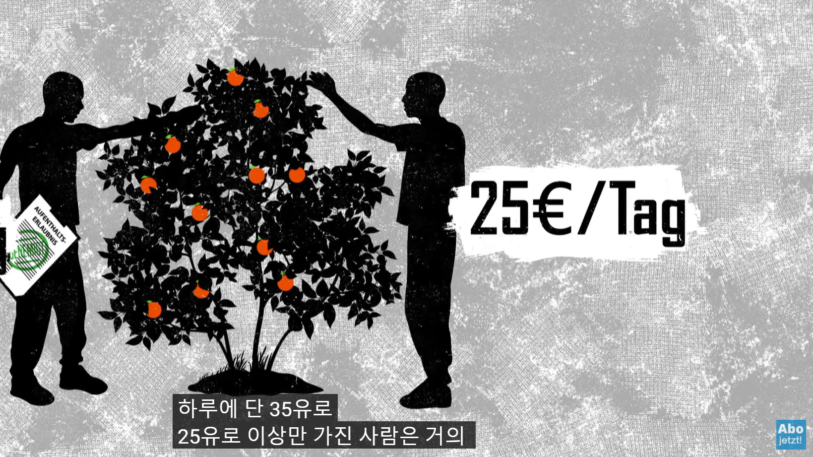 유럽의 저렴한 과일, 채소물가의 비결 | 인스티즈