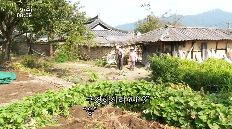 인간극장 레전드 사랑꾼 할아버지.jpg | 인스티즈