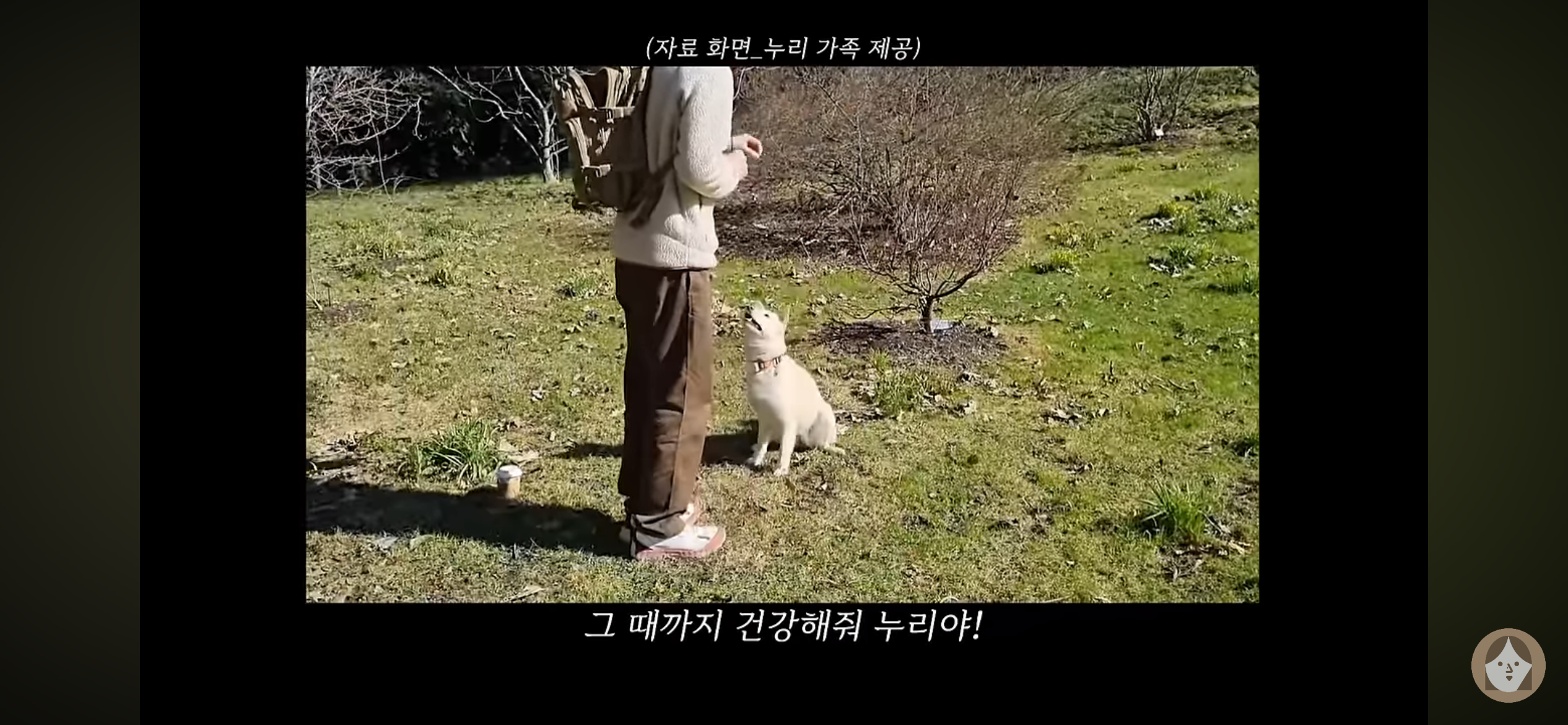 품종견을 샀던 유튜버가 유기견을 입양하게 된 과정 | 인스티즈
