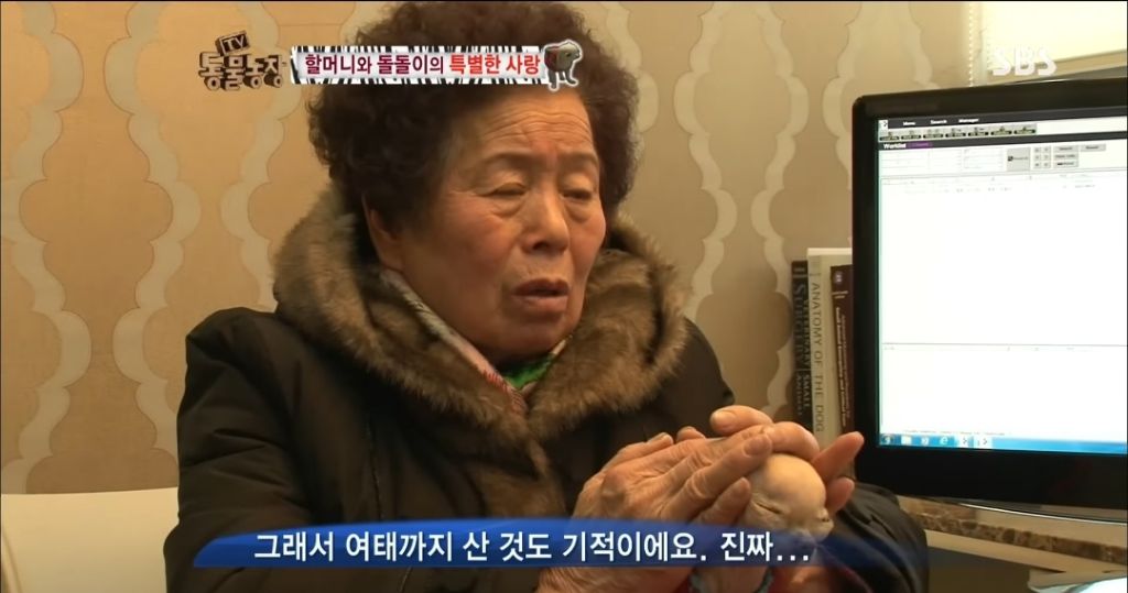 강아지가 안좋은말 들을까봐 귀 막아주는 할머니 | 인스티즈
