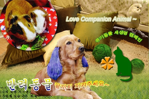 처음 보면 경악한다는 포토샵 시험문제 | 인스티즈