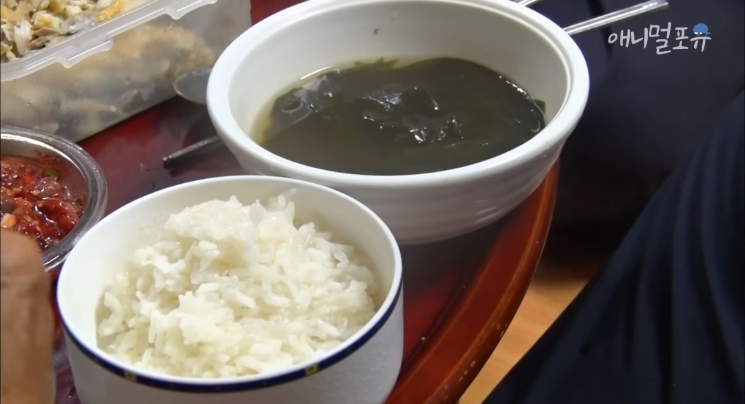 치매 걸린 아내가 4년만에 끓여준 미역국 | 인스티즈