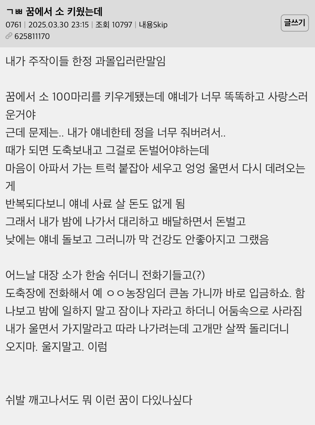 꿈에서 소 키웠는데 | 인스티즈