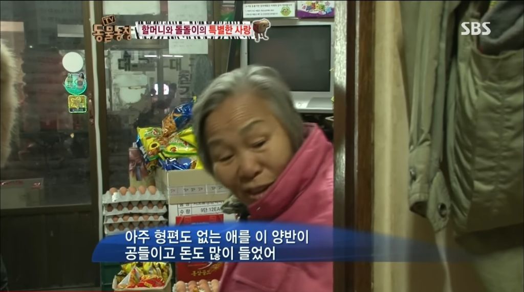 강아지가 안좋은말 들을까봐 귀 막아주는 할머니 | 인스티즈