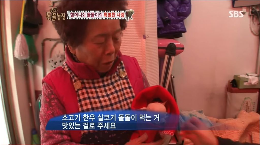 강아지가 안좋은말 들을까봐 귀 막아주는 할머니 | 인스티즈