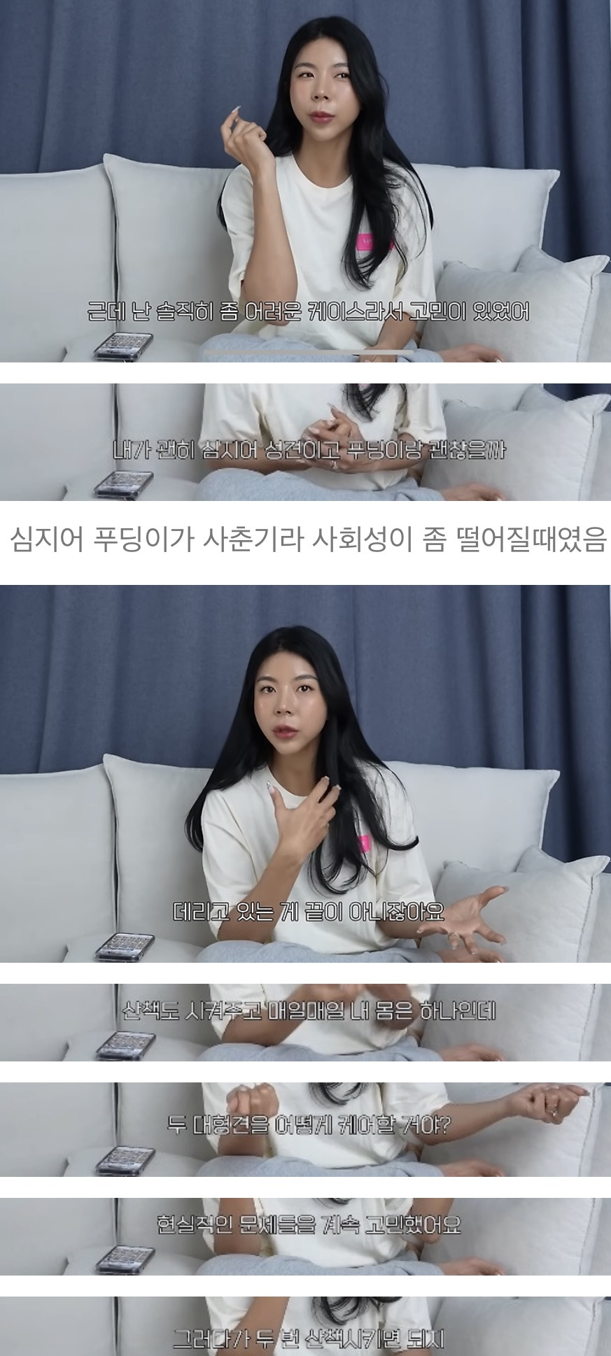 품종견을 샀던 유튜버가 유기견을 입양하게 된 과정 | 인스티즈