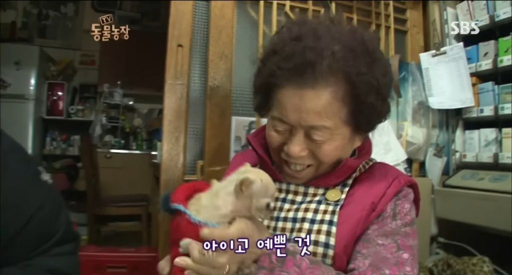 강아지가 안좋은말 들을까봐 귀 막아주는 할머니 | 인스티즈