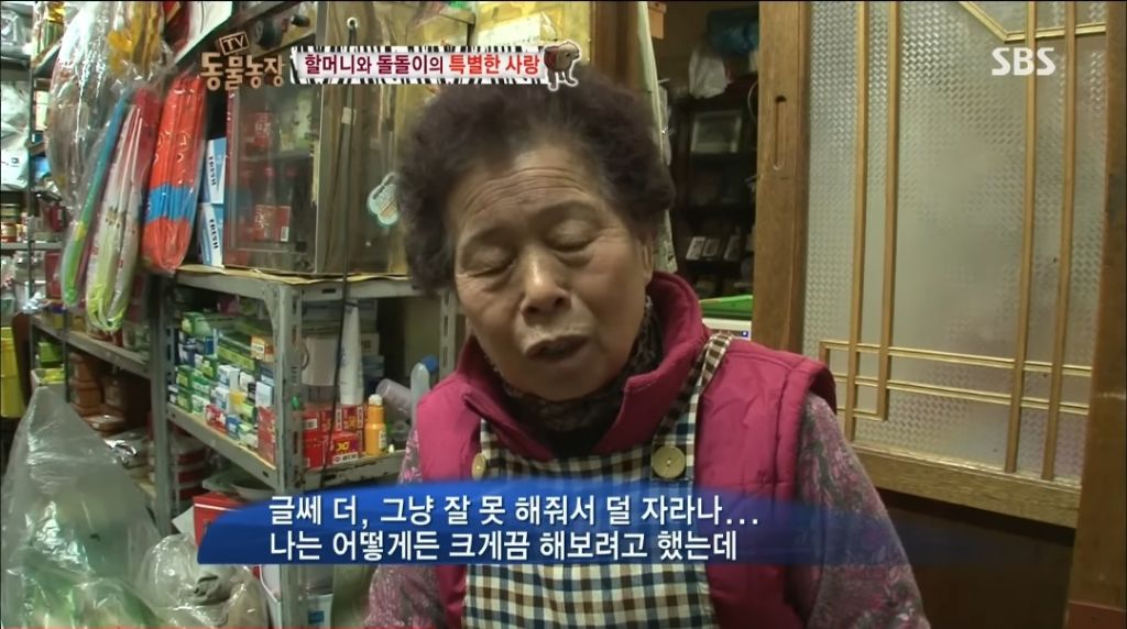 강아지가 안좋은말 들을까봐 귀 막아주는 할머니 | 인스티즈