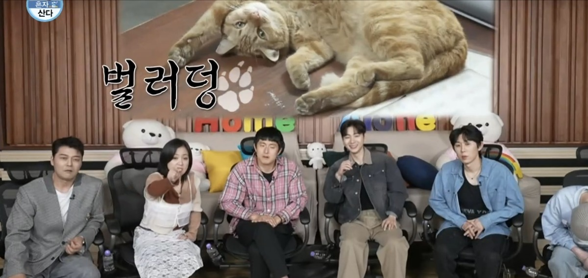 처음보는 기안 옆에서 세상 얌전한 바이크가게 고양이 | 인스티즈
