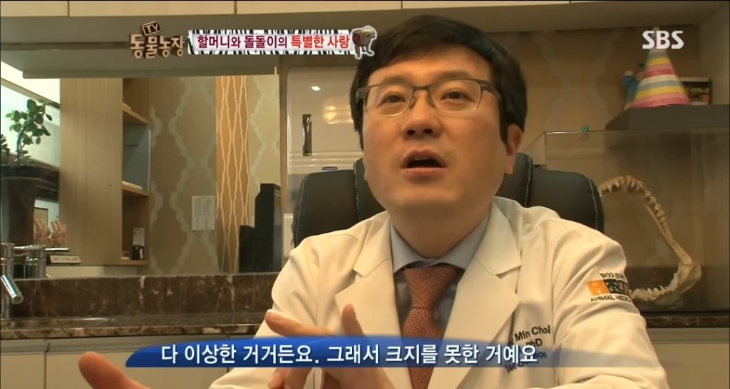 강아지가 안좋은말 들을까봐 귀 막아주는 할머니 | 인스티즈