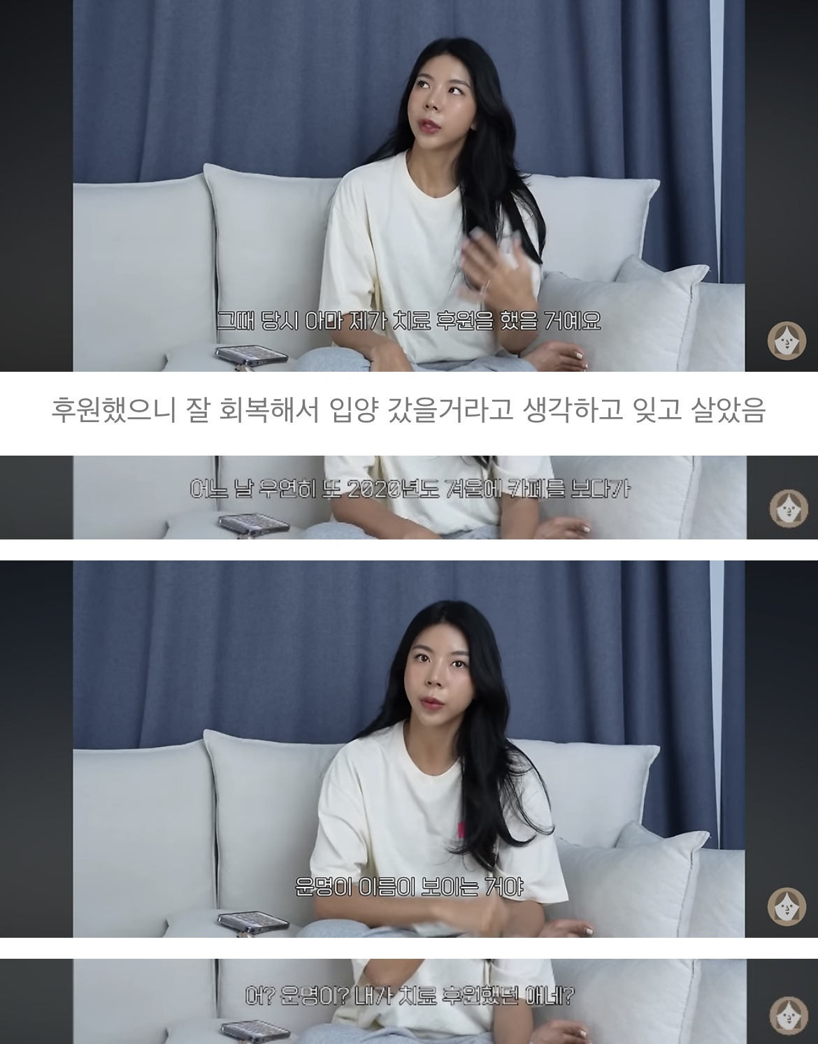 품종견을 샀던 유튜버가 유기견을 입양하게 된 과정 | 인스티즈