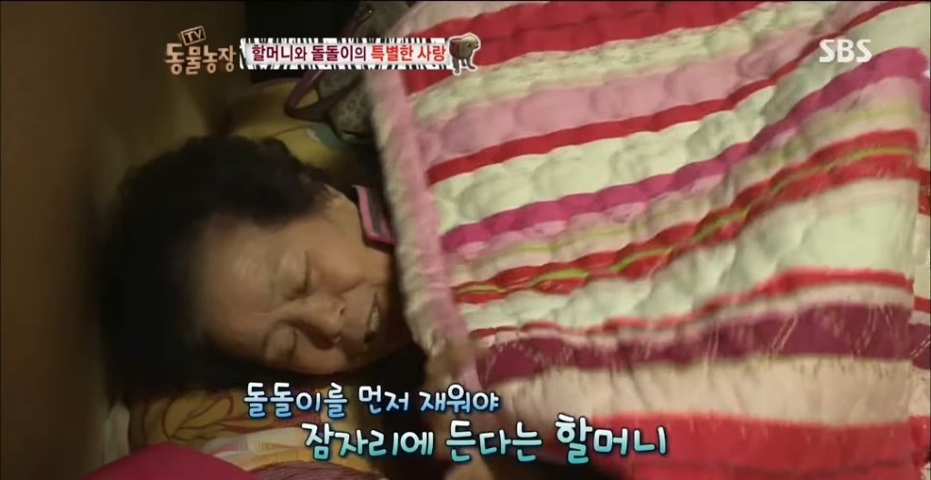 강아지가 안좋은말 들을까봐 귀 막아주는 할머니 | 인스티즈