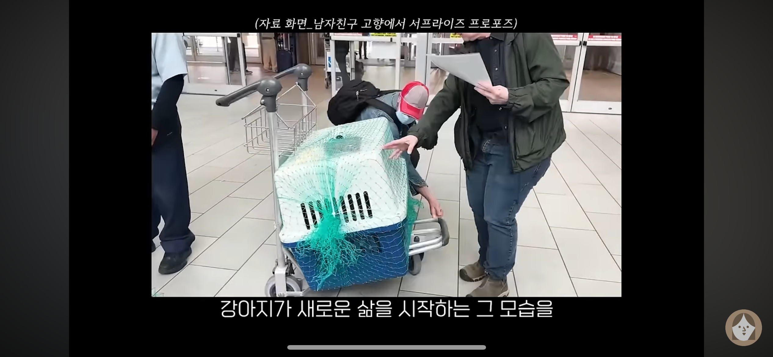 품종견을 샀던 유튜버가 유기견을 입양하게 된 과정 | 인스티즈