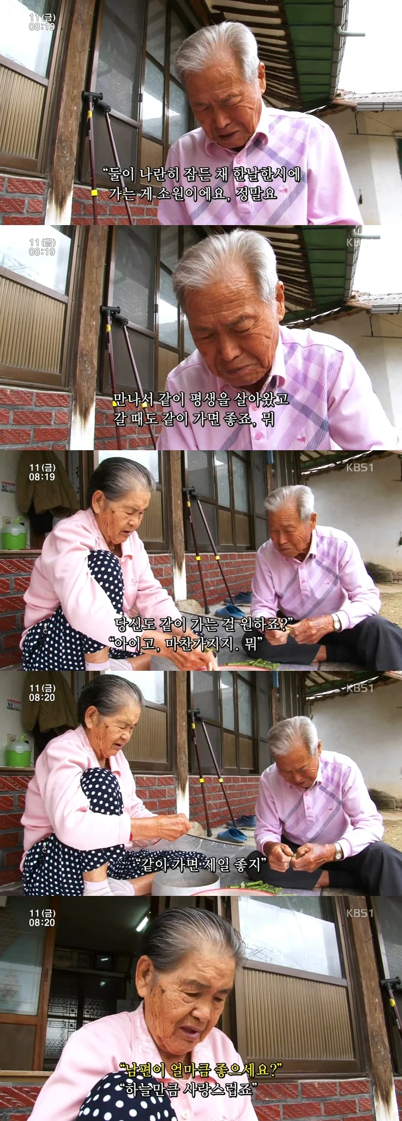 인간극장 레전드 사랑꾼 할아버지.jpg | 인스티즈