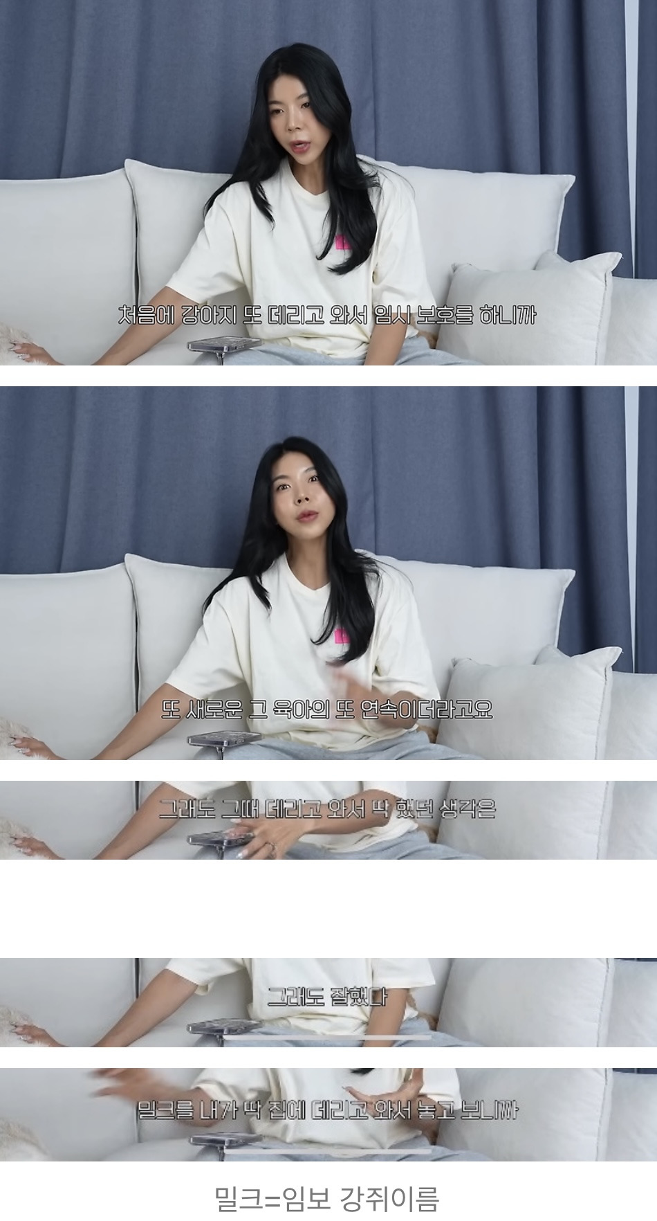 품종견을 샀던 유튜버가 유기견을 입양하게 된 과정 | 인스티즈