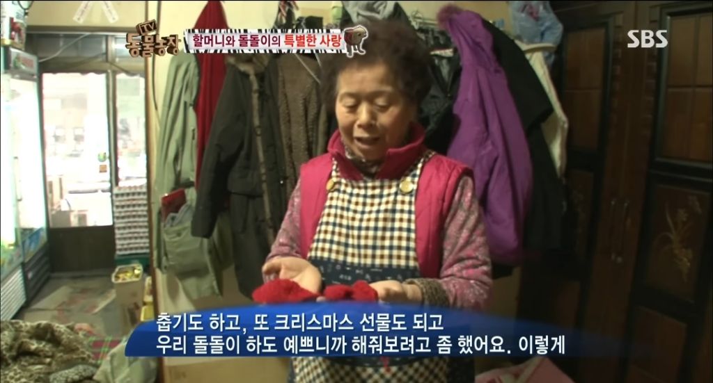 강아지가 안좋은말 들을까봐 귀 막아주는 할머니 | 인스티즈