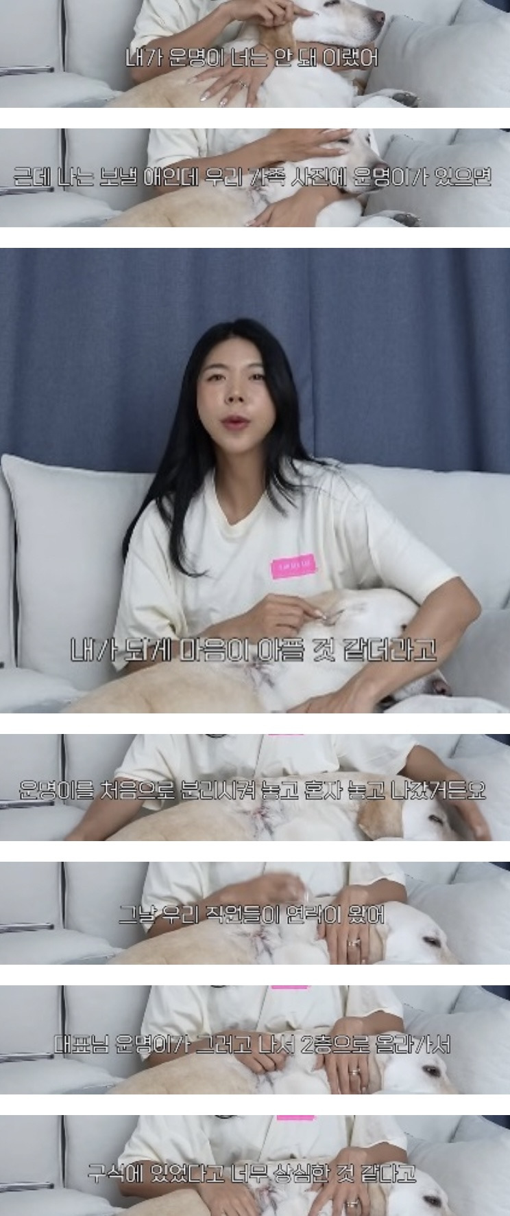 품종견을 샀던 유튜버가 유기견을 입양하게 된 과정 | 인스티즈