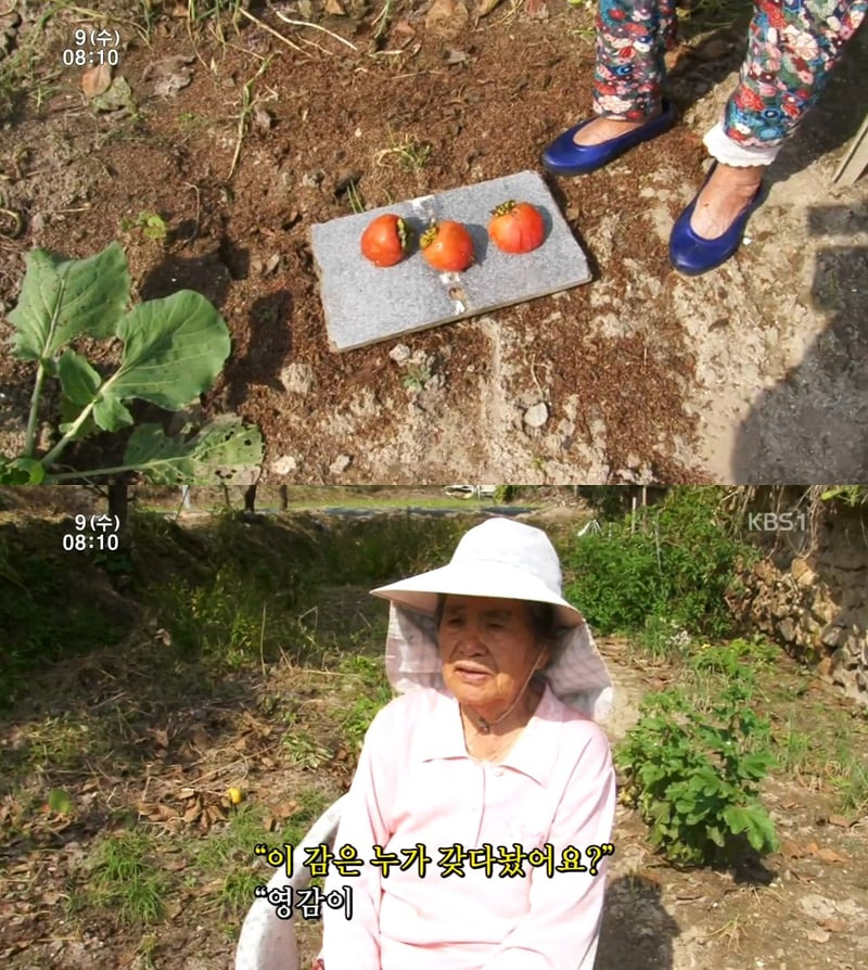 인간극장 레전드 사랑꾼 할아버지.jpg | 인스티즈