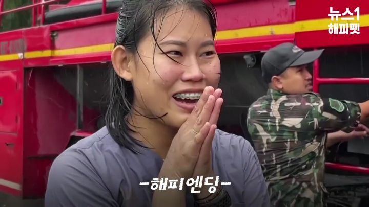 구멍에 빠진 아기코끼리, 기절한 엄마코끼리 | 인스티즈