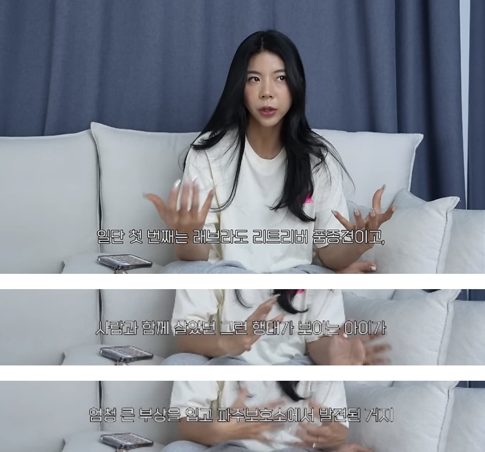 품종견을 샀던 유튜버가 유기견을 입양하게 된 과정 | 인스티즈