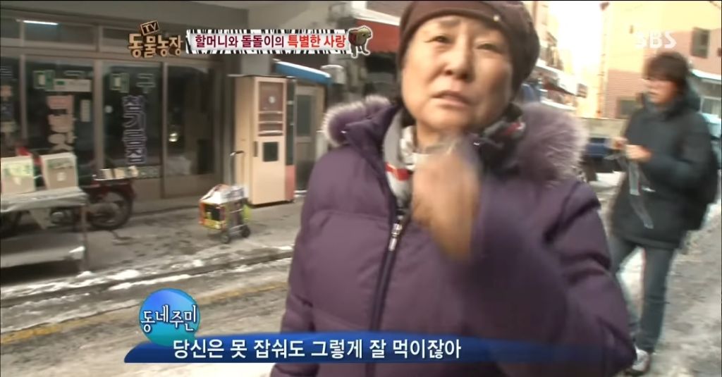 강아지가 안좋은말 들을까봐 귀 막아주는 할머니 | 인스티즈