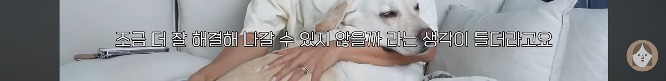 품종견을 샀던 유튜버가 유기견을 입양하게 된 과정 | 인스티즈