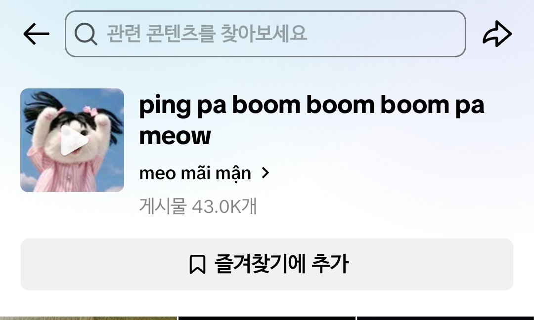요즘 유행하는 고양이 밈 | 인스티즈