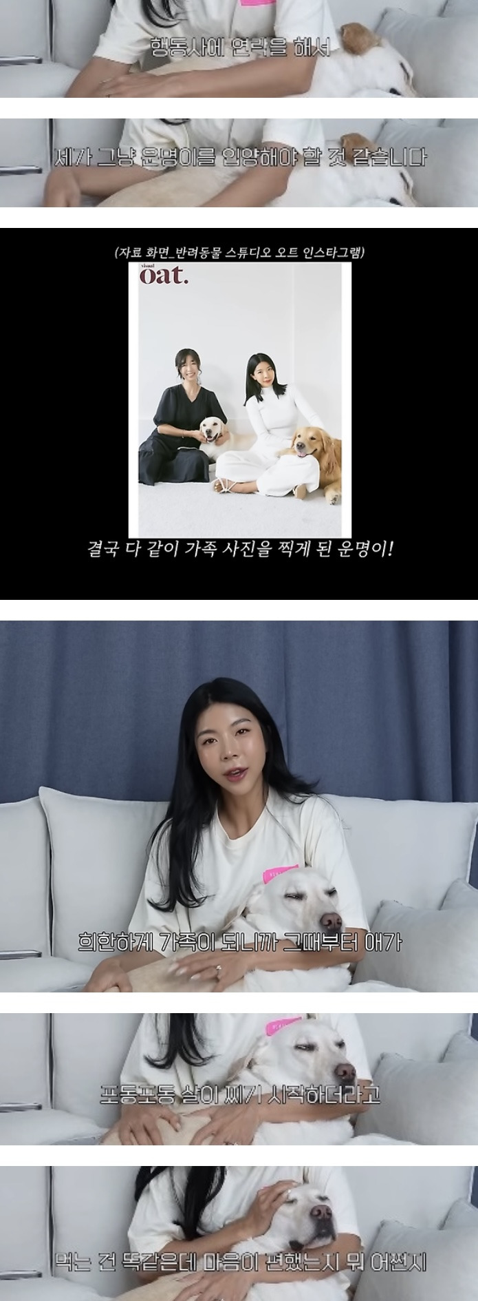 품종견을 샀던 유튜버가 유기견을 입양하게 된 과정 | 인스티즈
