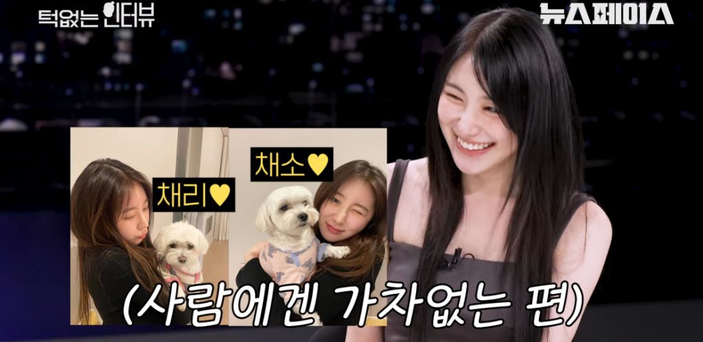 동생들에 대한 온도차가 분명한 이채연호불호 갈리는 회사 분위기 | 인스티즈