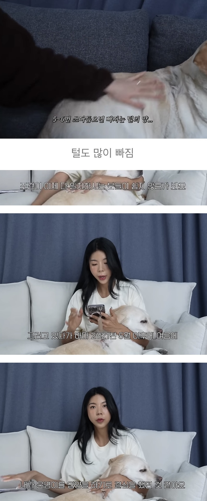 품종견을 샀던 유튜버가 유기견을 입양하게 된 과정 | 인스티즈