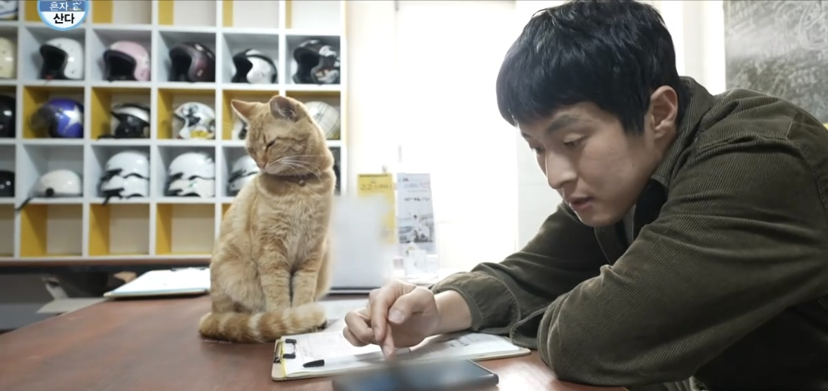 처음보는 기안 옆에서 세상 얌전한 바이크가게 고양이 | 인스티즈