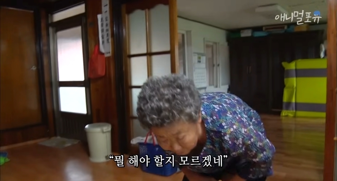 치매 걸린 아내가 4년만에 끓여준 미역국 | 인스티즈